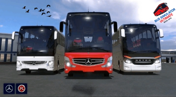 Home 12 Front view of coaches simulator